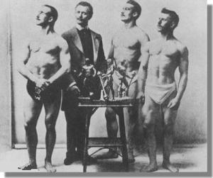 sandow 