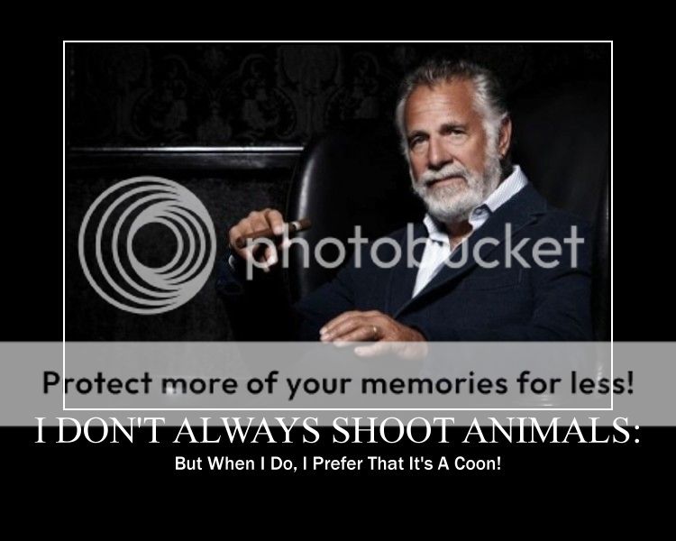 coon.jpg