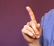 100.gif
