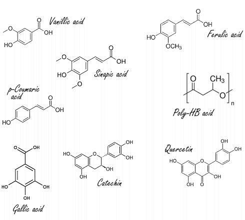 phenolic-substances-diets-1.gif