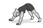 pushuptrunkflexion.gif