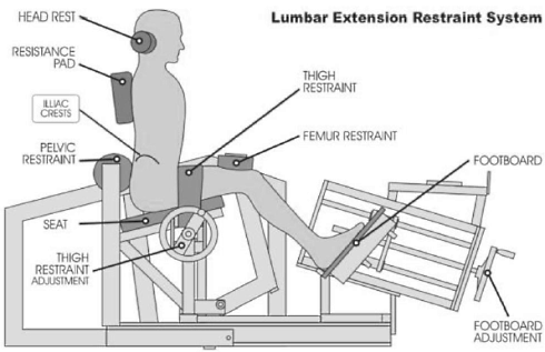 lumbar-extension.gif