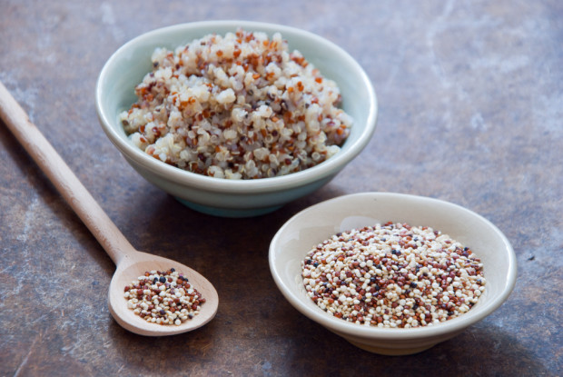 The-Muscle-Carb-e1447273027300.jpg