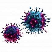 coronaviruses.jpg