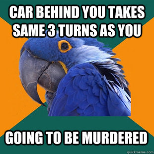 369z7o.jpg