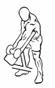 bicepscurlpreacher.gif