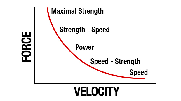 Force Velocity Curve