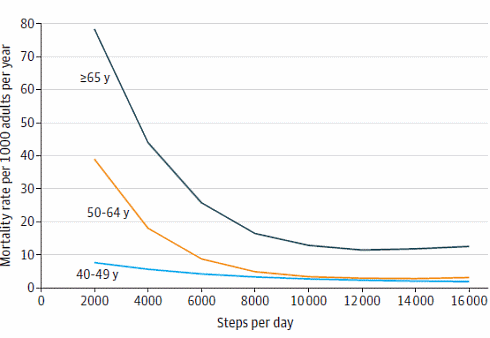 walk-more-steps-live-longer-2.gif