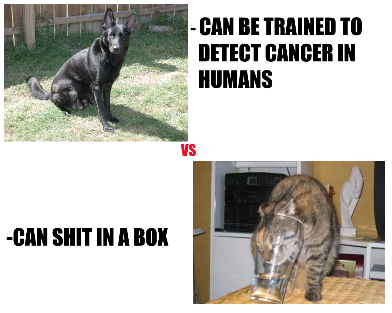 dMX9M.jpg