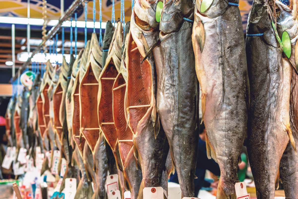 IM0317_E2G_fish_01-1200x800.jpg