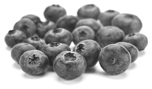 Meer spieren en minder vet door anthocyanins uit blauwe bosbessen