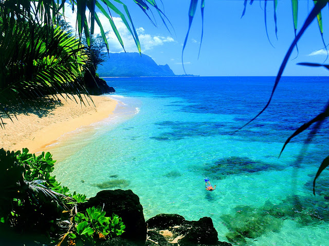 Snorkel+Hawaii_2.jpg