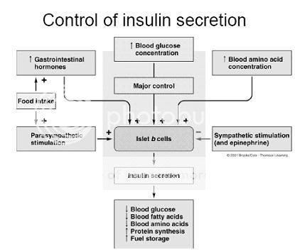 insulin.jpg
