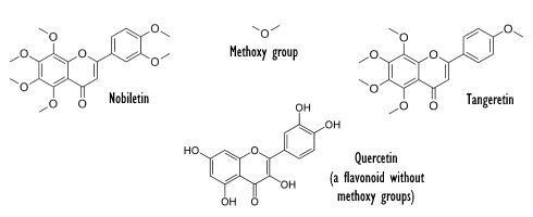 nobiletin-tangeretin.gif