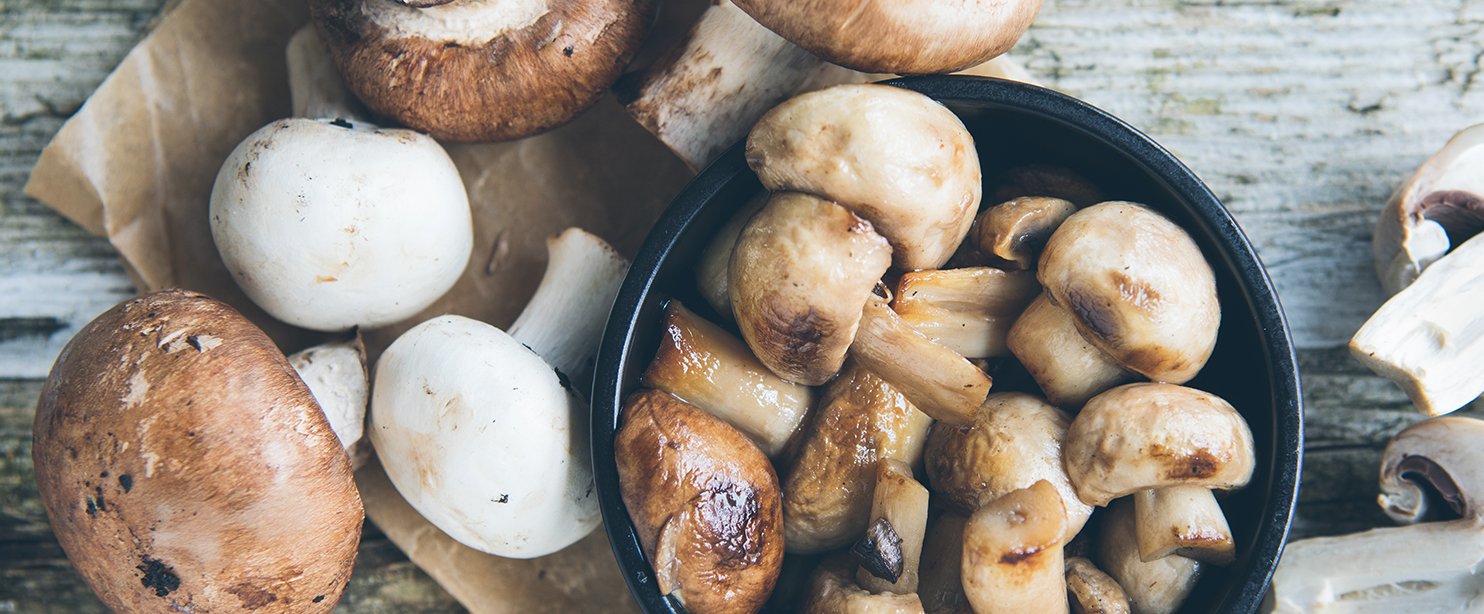 mushrooms.jpg