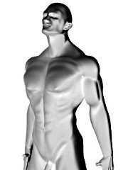 muscmale.jpg