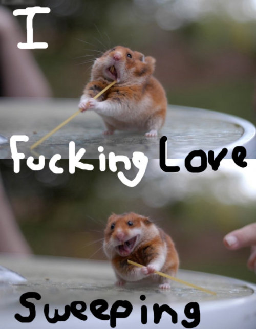 tumblr_kvsw4rCQlo1qae5rmo1_500.jpg