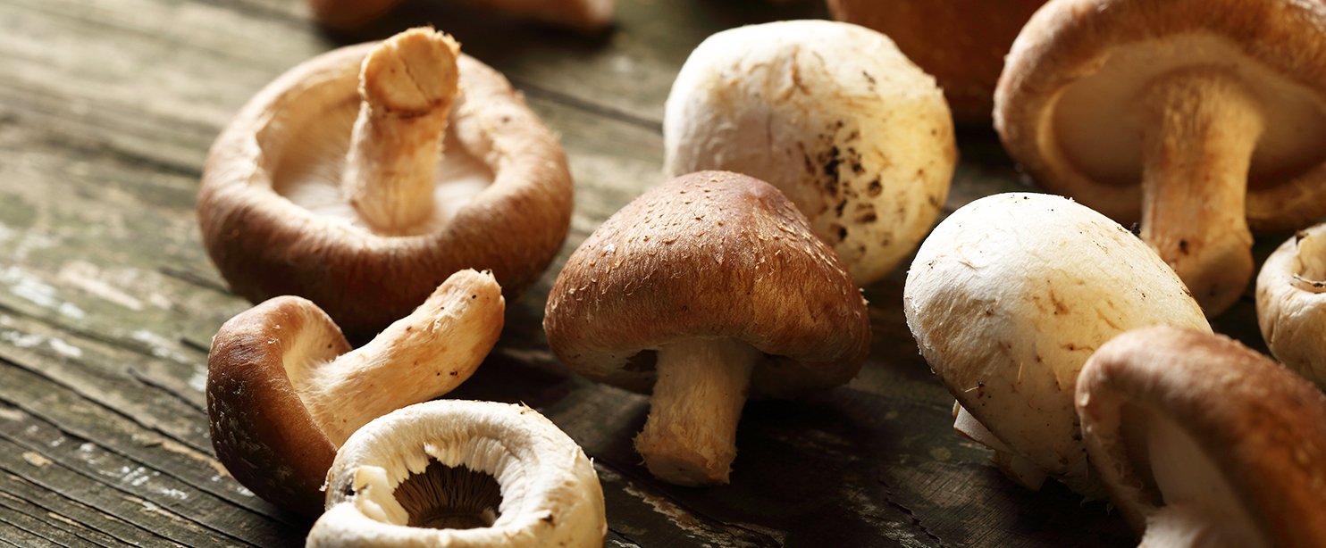 mushrooms.jpg