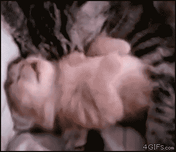 hZPkz.gif