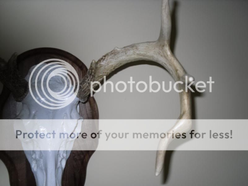 remount086.jpg