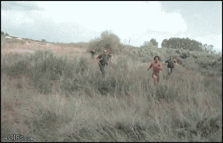 Aft9Q.gif