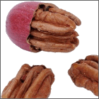 pecans.gif