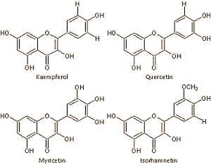 isorhamnetinquercetin.gif
