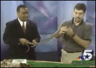 QcIG7.gif