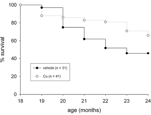 curcumin-longevity-sarcopenia-mouse-study.gif