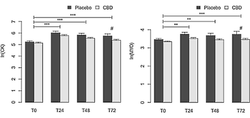 CBD oil accelerates muscle recovery after strenuous exercise