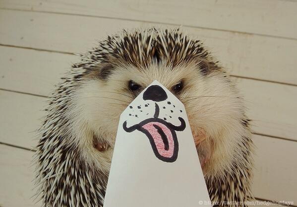 Marutaro-Dog.jpg