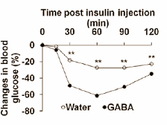 gabaoverweightinsulin4.gif