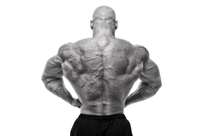 Lat Spread