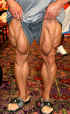 leg muscles