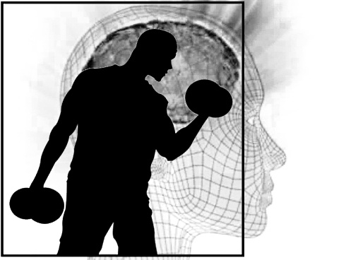 Focus on muscle group during strength training does not result in more reps