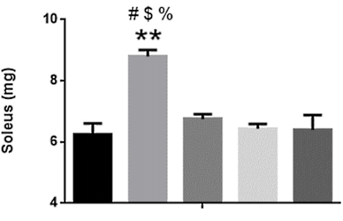 Paraxanthine makes you stronger, more muscular and increases your stamina