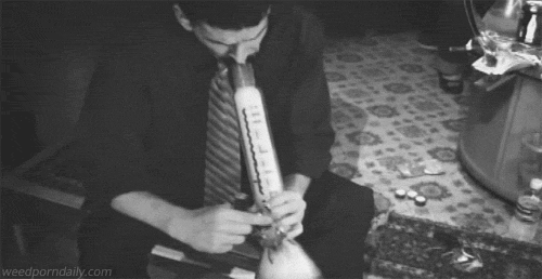 tumblr_m92o2406LB1r84w6ho1_500.gif