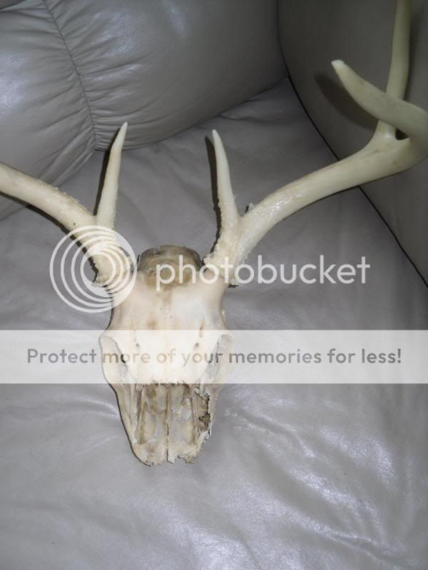 remount070.jpg