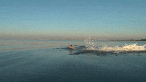 tumblr_lvxtl1dqrz1qcyxzuo1_500.gif