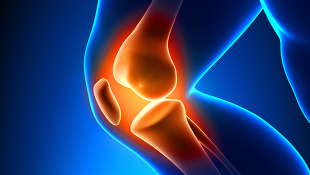 Knee