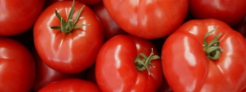 some-raw-tomatoes-pic.jpg