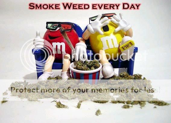 SmokeWeed.jpg