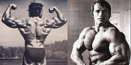 The_Arnold_Press_featured_image.jpeg