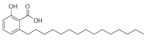 an-anacardic-acid.gif