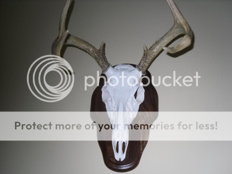 remount090.jpg