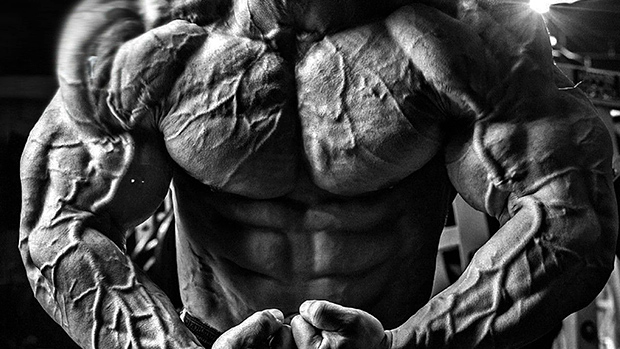 Bodybuilder
