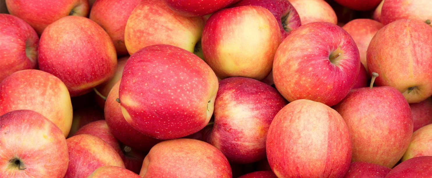 apples.jpg