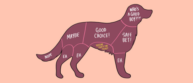 Dog-Petting-Guide-640x276.jpg