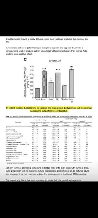 b523a66c-64d3-f473-53a9-b2b821106b00.jpg