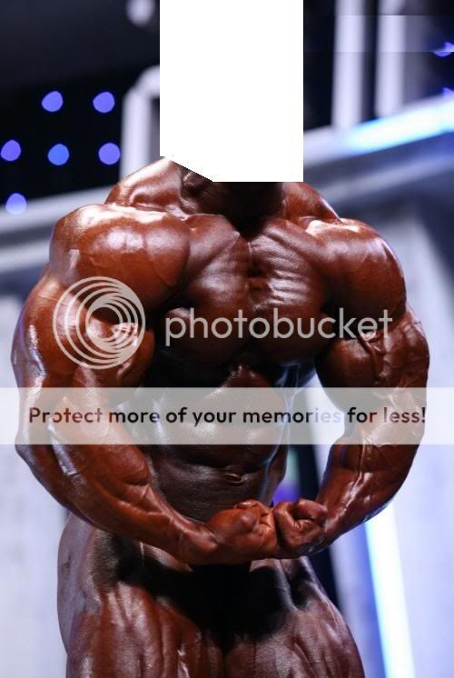 52whoisit.jpg